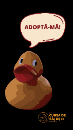 cursaderatustebuc giphygifmaker yellow duck ducks GIF