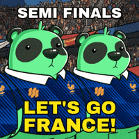 France Football GIF by SuperVerse