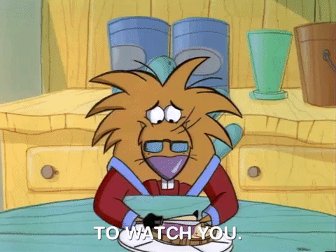 nickrewind giphydvr nicksplat angry beavers giphyab013 GIF