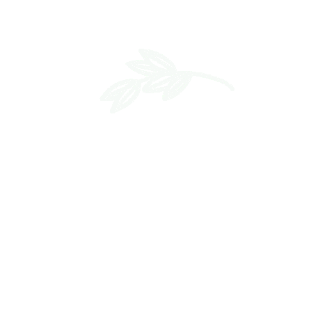 Argentina Soy Elegida Sticker by Cita con la Vida