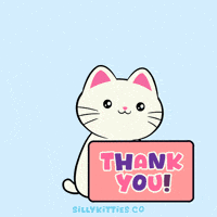 Thank You So Much GIF by Silly Kitties