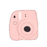 Vibes Polaroid Sticker