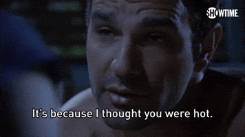 It's Because I Thought You Were Hot