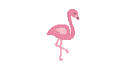 Miami Sticker by Allie the Ellie