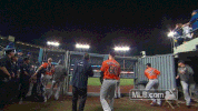 astros rushes GIF by MLB