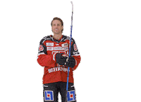 Hat Trick Celebration Sticker by Örebro Hockey