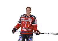 Celebration Bird Sticker by Örebro Hockey