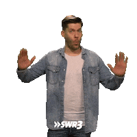 Chill Wow Sticker by SWR3