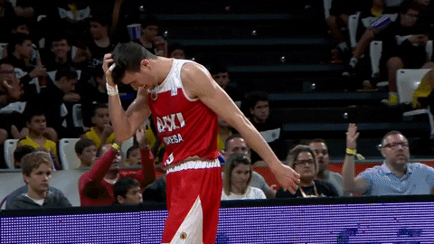 liga endesa basketball GIF by ACB