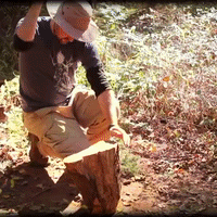 Baseball Hanging GIF by Four Rest Films