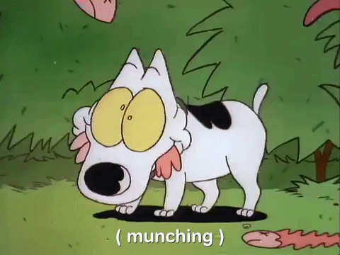 rockos modern life nicksplat GIF