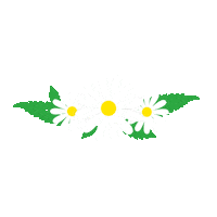 Flowers Casa Sticker by IKEA Chile