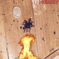 fire kill GIF