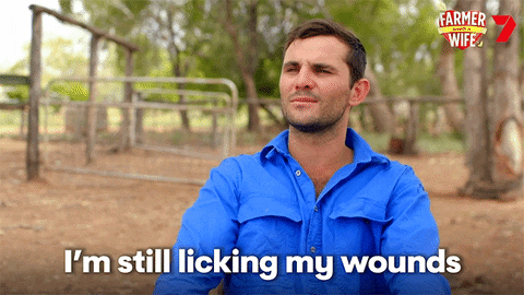 Wound Licking GIF by Farmer Wants A Wife