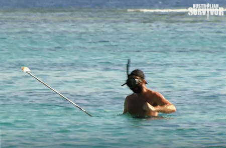 brian jig GIF by Australian Survivor