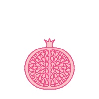 Pink Fruit Sticker by Mataroa Gin