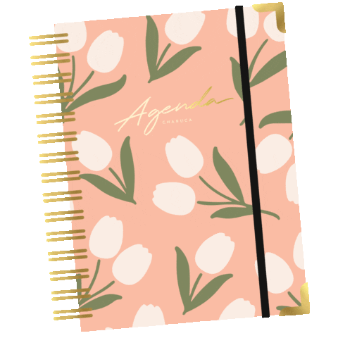 charucashop giphyupload self love semana planner Sticker