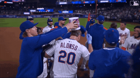 Pete Alonso Baseball GIF by New York Mets