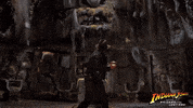 Harrison Ford Falling GIF by Indiana Jones