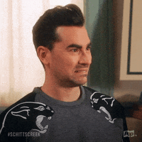 pop tv ok GIF by Schitt's Creek
