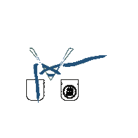 bneiakiva_il bnei akiva בני עקיבא חולצת תנועה מדריכים Sticker
