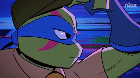 Nickelodeon Go GIF by Teenage Mutant Ninja Turtles