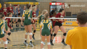 north dakota state bison GIF by NDSU Athletics