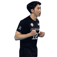 Player Volleyball Sticker by kovopr