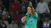 ligue 1 soccer GIF by Toulouse Football Club