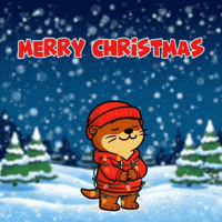 Merry Christmas Snow GIF by Otties