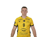 Volleyball Sticker by PGE GiEK Skra Bełchatów