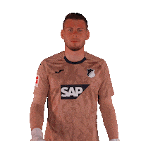Sport Bundesliga Sticker by TSG Hoffenheim