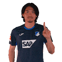 Sport Bundesliga Sticker by TSG Hoffenheim