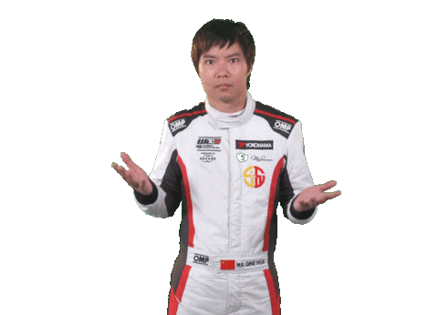 no idea idk Sticker by FIA WTCR