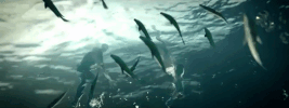 What Lovers Do GIF by Maroon 5