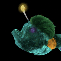 Fish Dark GIF