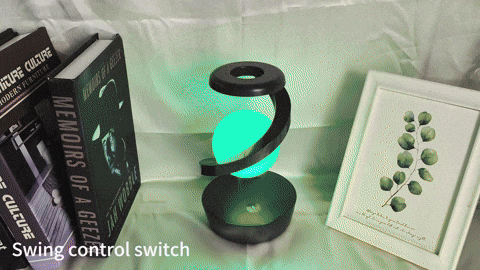 asaffeler giphyupload GIF