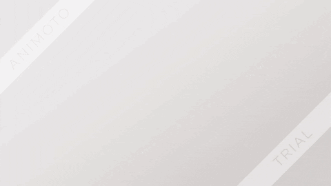 hadishaikh giphyupload GIF