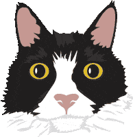 Black Cat Sticker