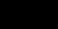 nohrd logo nohrd-waterrower GIF