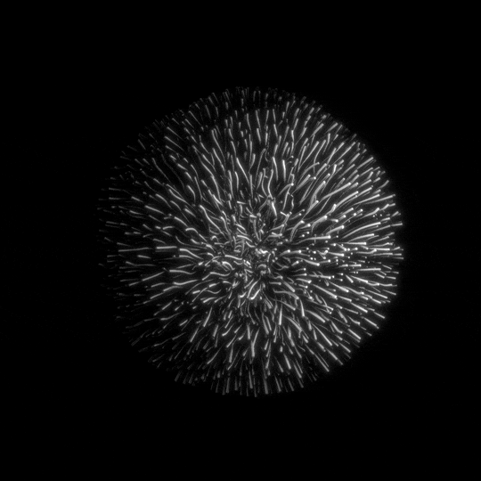 Good Night Loop GIF by xponentialdesign
