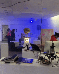 Show Performance GIF by Alex Boya