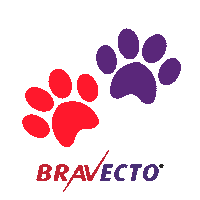 Gatos Perros Sticker by MSD Família Pet