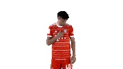 Noussair Mazraoui Football Sticker by FC Bayern Munich
