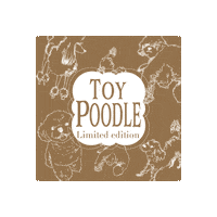 Color Lashes Sticker by PERFECT LASH JAPAN