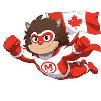 Canadian Celebration Sticker