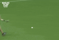 GIF by Bold Studios