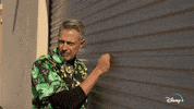 Jeff Goldblum Disneyplus GIF by National Geographic Channel