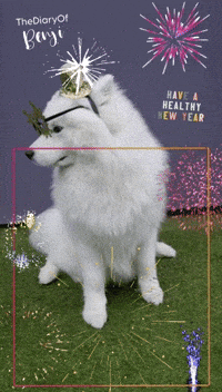 Fireworks GIF