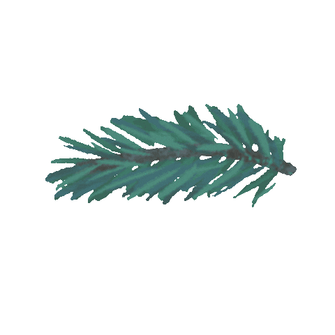 Winter Plant Sticker